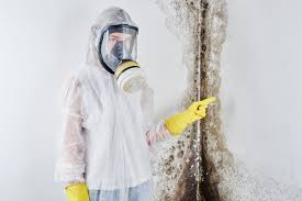  Emigsville, PA Mold Removal Pros